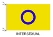 Bandera Intersexual Lgbt 70 X 120cm 0