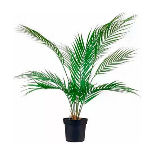 Out Artificial Plant 120 Cm Areca Palm + Pot 0