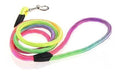 Zoomundo Multicolor Fluo Leash and Harness for Small Dogs, Cats, and Rabbits 2