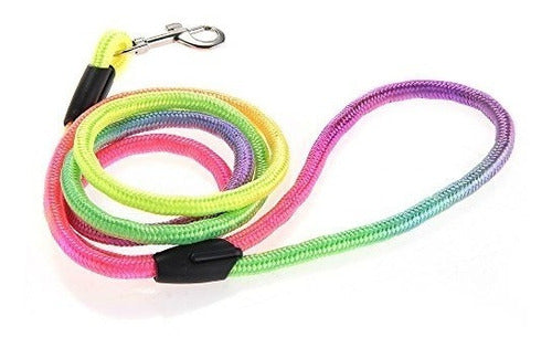 Zoomundo Multicolor Fluo Leash and Harness for Small Dogs, Cats, and Rabbits 2