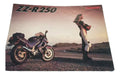 Kawasaki Zz-R 250 Original Brochure from Japan 0