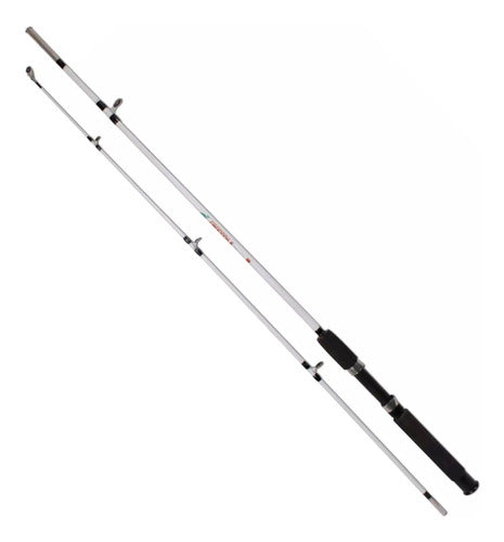 Pesca 2 Cañas 3mts 2 Reel Combo Variada Rio Mar Pescador Ril 4