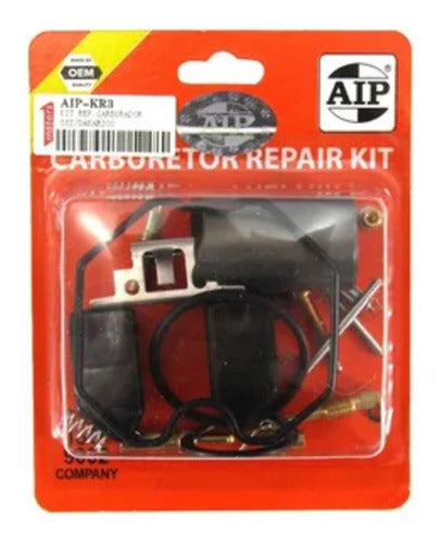 Kit  Aip Reparación Carburador Gs2 Dakar 200 0