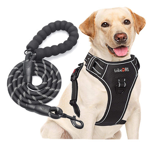 Generic Dog Harness with Leash 0