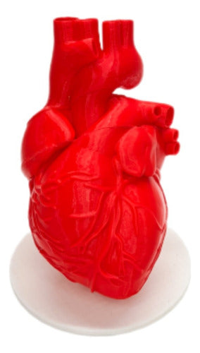 Impresiones.estilo3D Anatomical Heart Model - Real Scale 3D Print 0