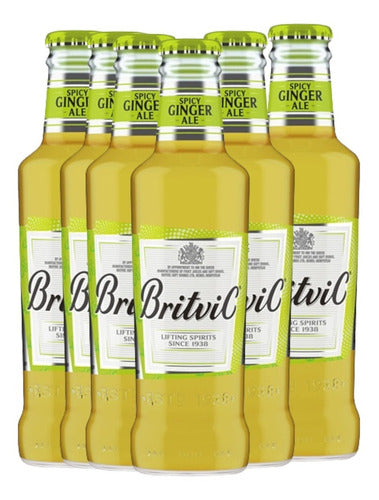 Britvic Pack X 6 Ginger Ale 200 Ml From Great Britain 0