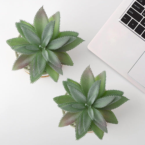 Hopewood Artificial Succulent Plant - Agave 6