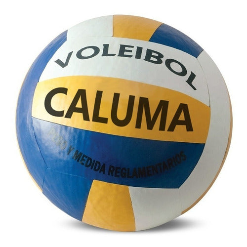 Caluma 5 Synthetic Leather Volleyballs 1