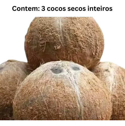 3 Cocos Secos Inteiros C/casca Cocada Nucífera 7