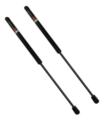 Liftgate Suzuki Fun - Celta Rear Hatch Strut Kit X2 2