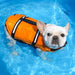 Terrapet Life Jacket for Small Dog Breeds Size L 3