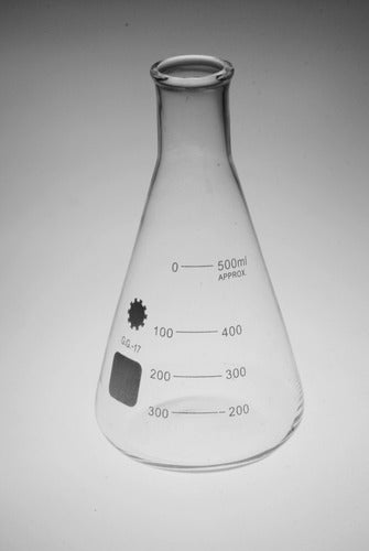 Erlenmeyer De Vidrio X 2000 Ml 2