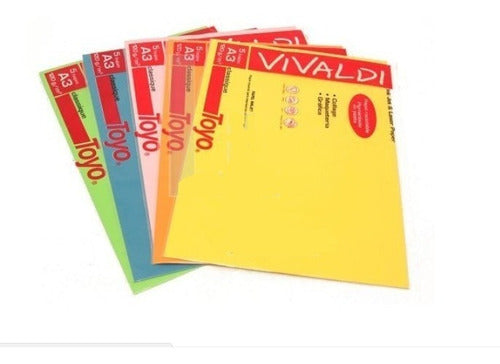 Toyo A3 120g Colored Sheets - Pack of 5 0