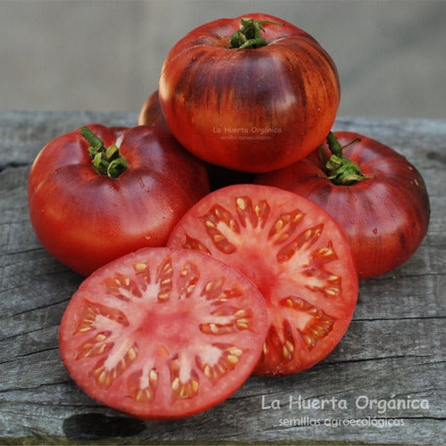 LA HUERTA ORGÁNICA Semillas Tomate Blue Beauty! Belleza Azul. Exóticos! 2