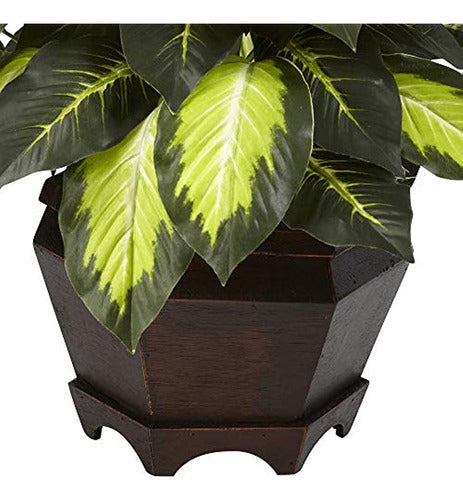 Casi Natural Triple Oro Dieffenbachia Seda Planta 2