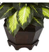 Casi Natural Triple Oro Dieffenbachia Seda Planta 2