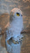 HEDWIG Owl Harry Potter Plush Toy 4