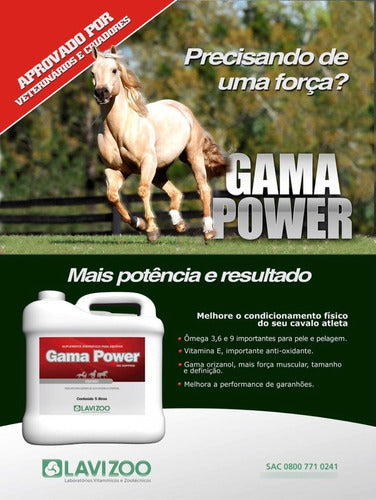 Suplemento Gamma Power 5 Lts 1