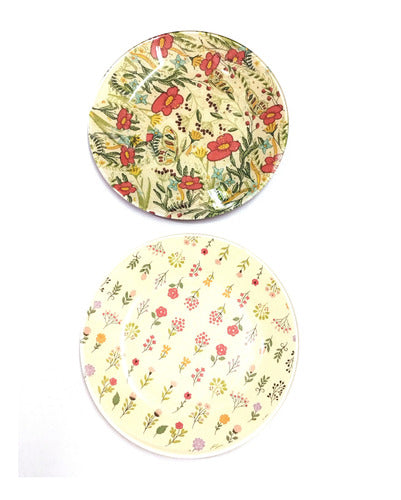 Inglass Artesanias 2 Plates in Decoupage Technique 0