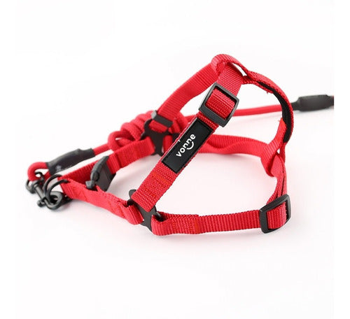 Vonne Small Dog Harness with Leash 1