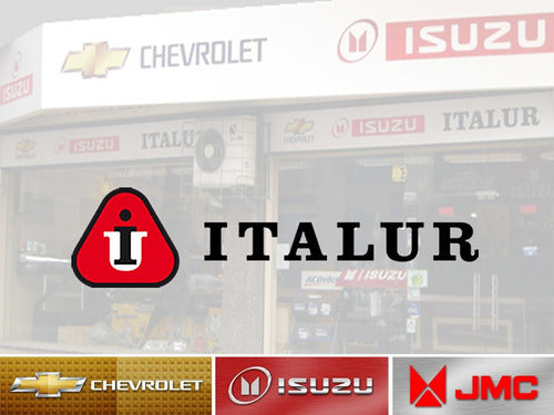 Italur S.A. Cinturon Seguridad 2 Puntas C/u 2