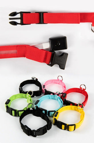 CC LED Light Collars for Pets - Rechargeable XS-S-M 4