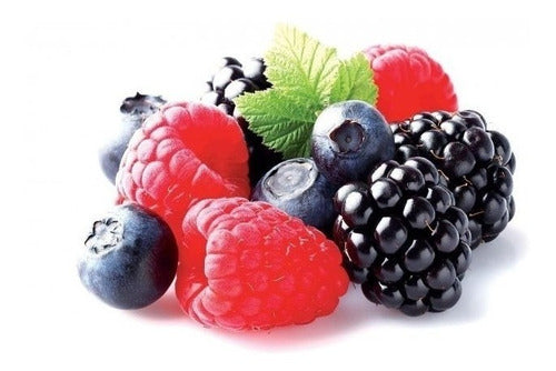 BerrieBlue Mix De Frutos Rojos Del Bosque Iqf Premium Especial 0