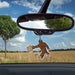 Fri 5 Piezas Bigfoot Car Air Freshener Sasquatch Air Freshen 3