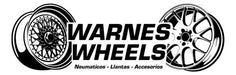 Stretch Removable Aluminum Paint - Warnes Wheels 1
