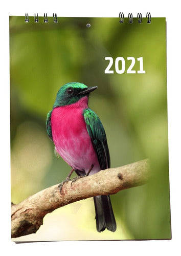 Flor Baez Fotografía Wall Calendar 20x30 Ring-bound Birds 1