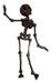 Articulated 3D Skeleton Toy - Choose Your Desired Color 48