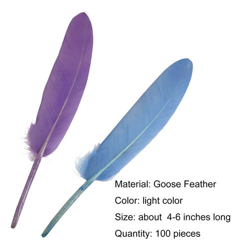 Plumas De Ganso Natural Luorng 100 Unidades De 4 A 6 Pulgada 1