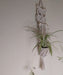 Hanging Macrame Plant Holder Cotton 15x80cm - Owl 2