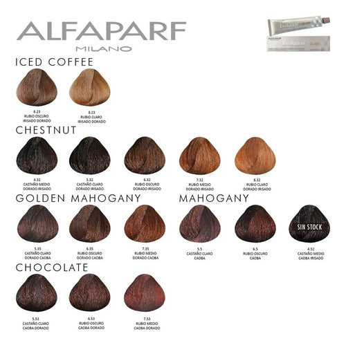 Alfaparf Evolution X Permanent Hair Color Kit - 12 Units 5