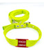 Medallas para perros Red Tag + Green Apple Collar and Leash 3