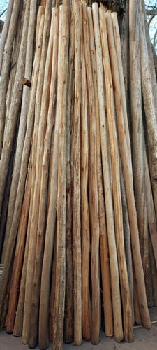 Fernando Rústicos Eucalyptus Posts/Poles/Branches with 7cm to 9cm Diameter 6