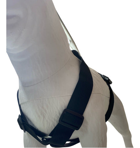 Reinforced Tactical H Harness Anti-Pull Safety K9 12