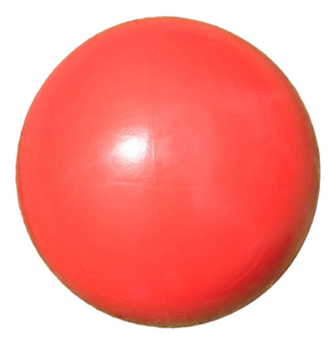 Pelota Esferodinamia Gym Ball 45 Cm 450 Gramos Pilates Rehab 1