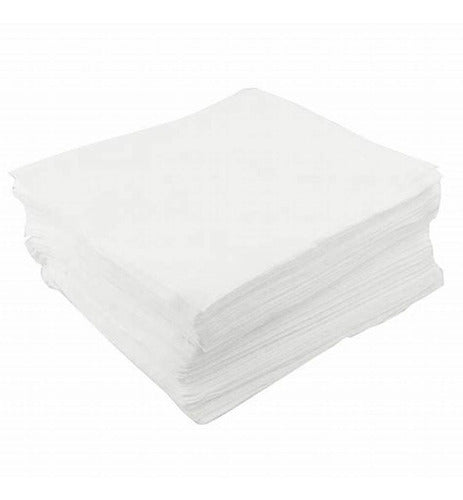 Synthetic Absorbent Cloth for Hydrocarbons (X 100) 1