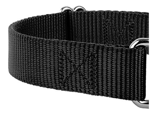 Country Brook Petz - Durable Nylon Dog Collar - Martingale Style 4