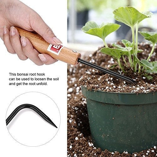 Goick Bonsai Hook for Roots 2