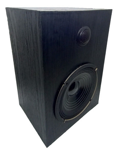 Philips Par Speakers for Music System 6 0