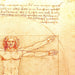 Beautiful Vitruvian Man Poster - Da Vinci - 120x85 New 8
