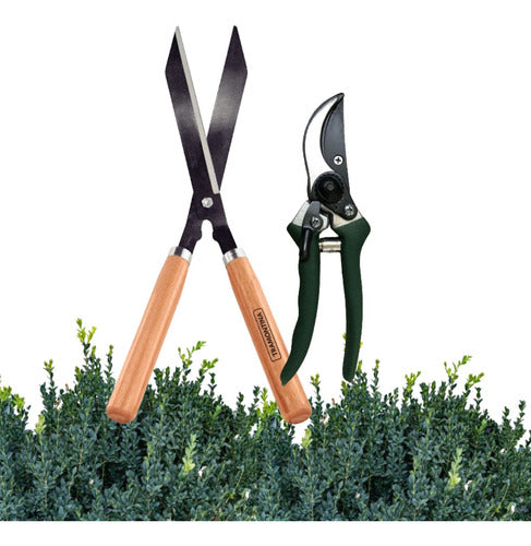 Gardening Kit Combo: Pruning Shears X2 Tramontina Castelgarden 0