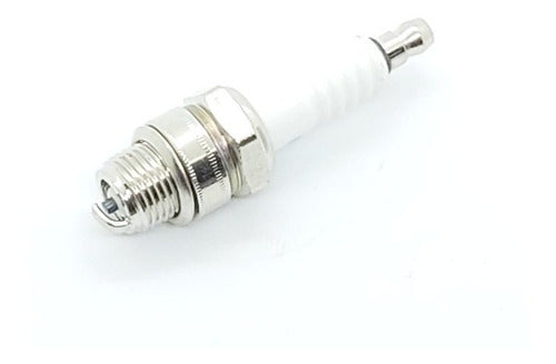 Champion Spark Plug for Bicimoto 1