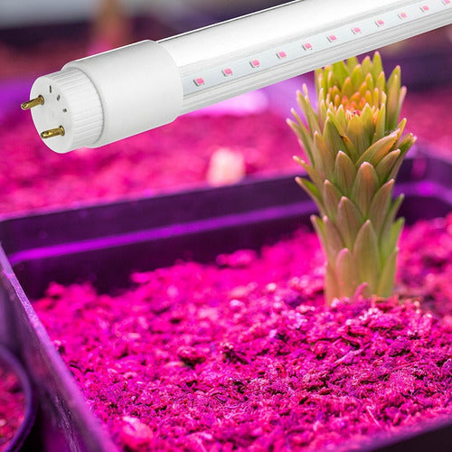 LED Tube Light for Aquariums, Fish Tanks, and Butcher Shops 220V 18W 120cm 0