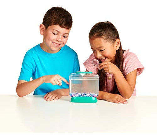 Little Live Aqua Dragons - Deep Sea Habitat - Led Light Up T 3