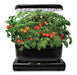 AeroGarden Red Heirloom Cherry Tomato Kit for Harvest and Classic Models 1