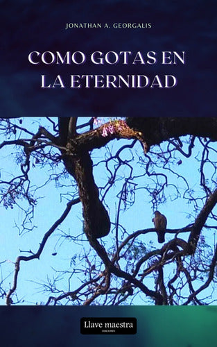 Como Gotas en la Eternidad (eBook PDF) - Jonathan Georgalis 0