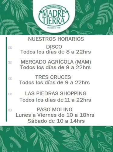 Hinojo Madre Tierra 15 - Yuyos 2